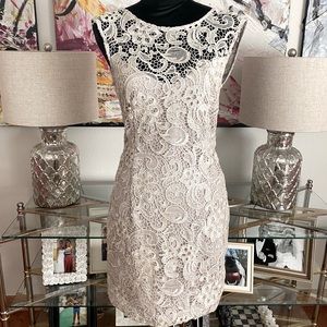 Bebe lace date night dress